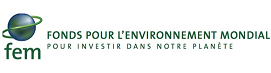 Logo Fem